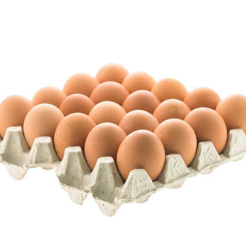 Oeufs