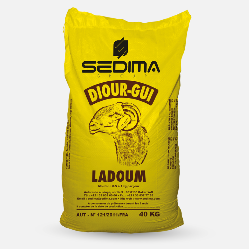 Diour Gui Ladoum